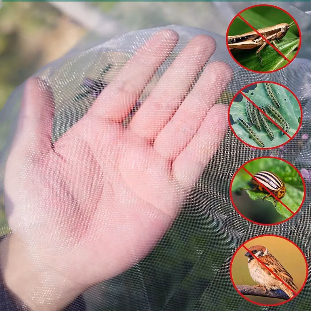 SPETLEK White Plastic Garden Netting for Vegetable Crops and Insect Protection, 10m – 3