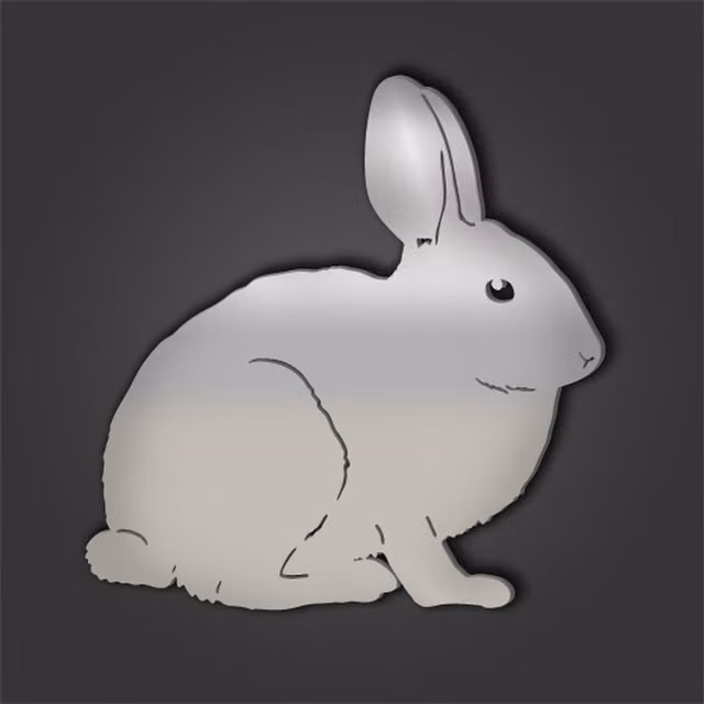 Rabbit Style 5 Silver Engraved Acrylic Mirror