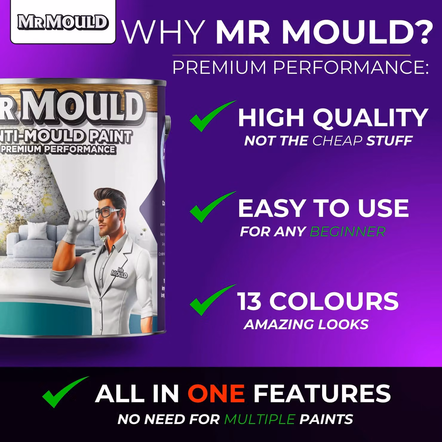 MR MOULD Anti-Mould Protection Paint for Interior Walls and Ceilings, Classic Grey, 1 l – 3