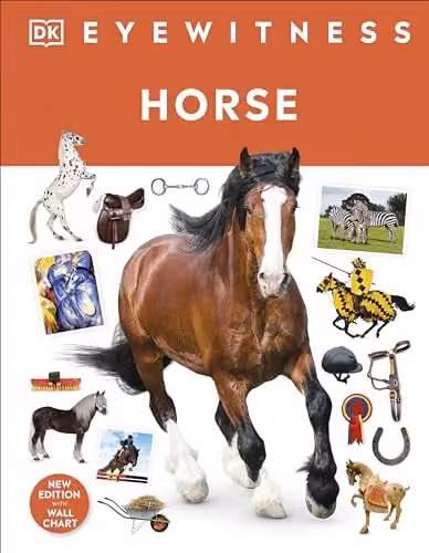 DK Eyewitness Horse Book in Multicolour Paper Edition – 1