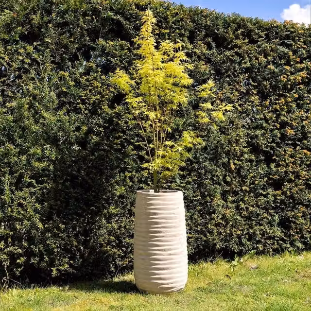 Primrose Tall Round Ribbed Terracotta Planter in Beige, Height: 80 cm