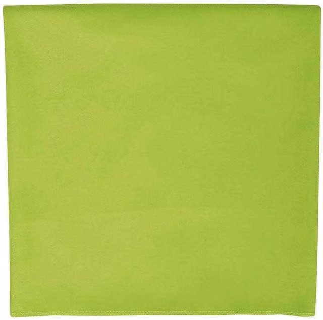 SOL'S Atoll 70 Microfibre Towel in Green