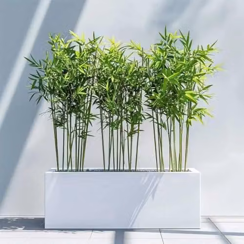 Access Garden Products Matte White Galvanised Steel Trough Planter, W/D/H: 100 x 40 x 40 cm – 10