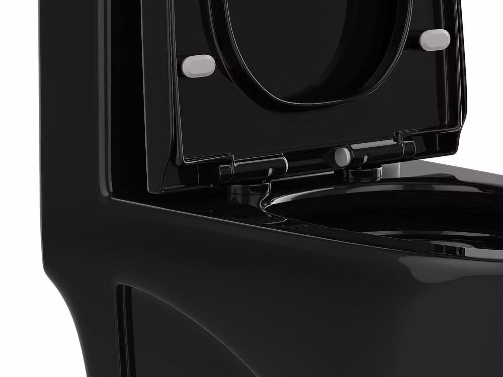 Vente-unique NAGILAM Gloss Black Ceramic Floor-Standing WC with Vertical Outlet and Soft-Close Seat, H 78.5 x W 39.0 x D 69.0 cm – 3