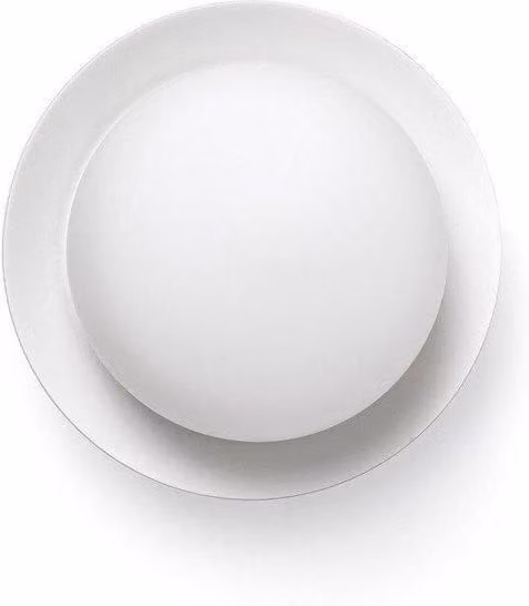 Netlighting White LED Flush Wall and Ceiling Lamp IP44