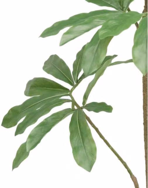 Botanik Large Realistic Artificial Dwarf Umbrella Tree in Green and Black, Height: 120 cm