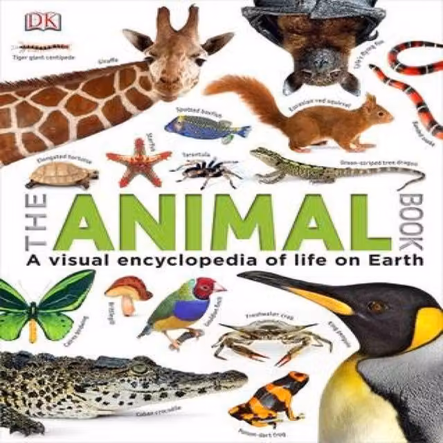 DK Our World in Pictures The Animal Book Hardback Multicolour