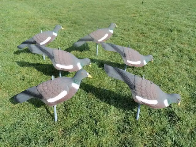 Marco Paul Flying Hawk Decoy Bird Deterrent in Multicolour