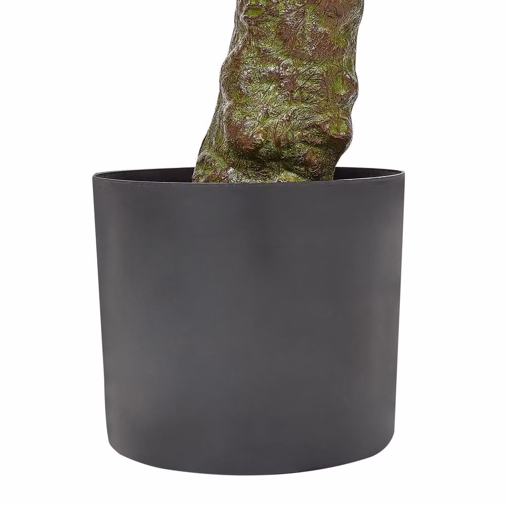 Wyld and Coco Laurel Artificial Potted Plant, Green in Black Pot, Height: 160 cm – 4