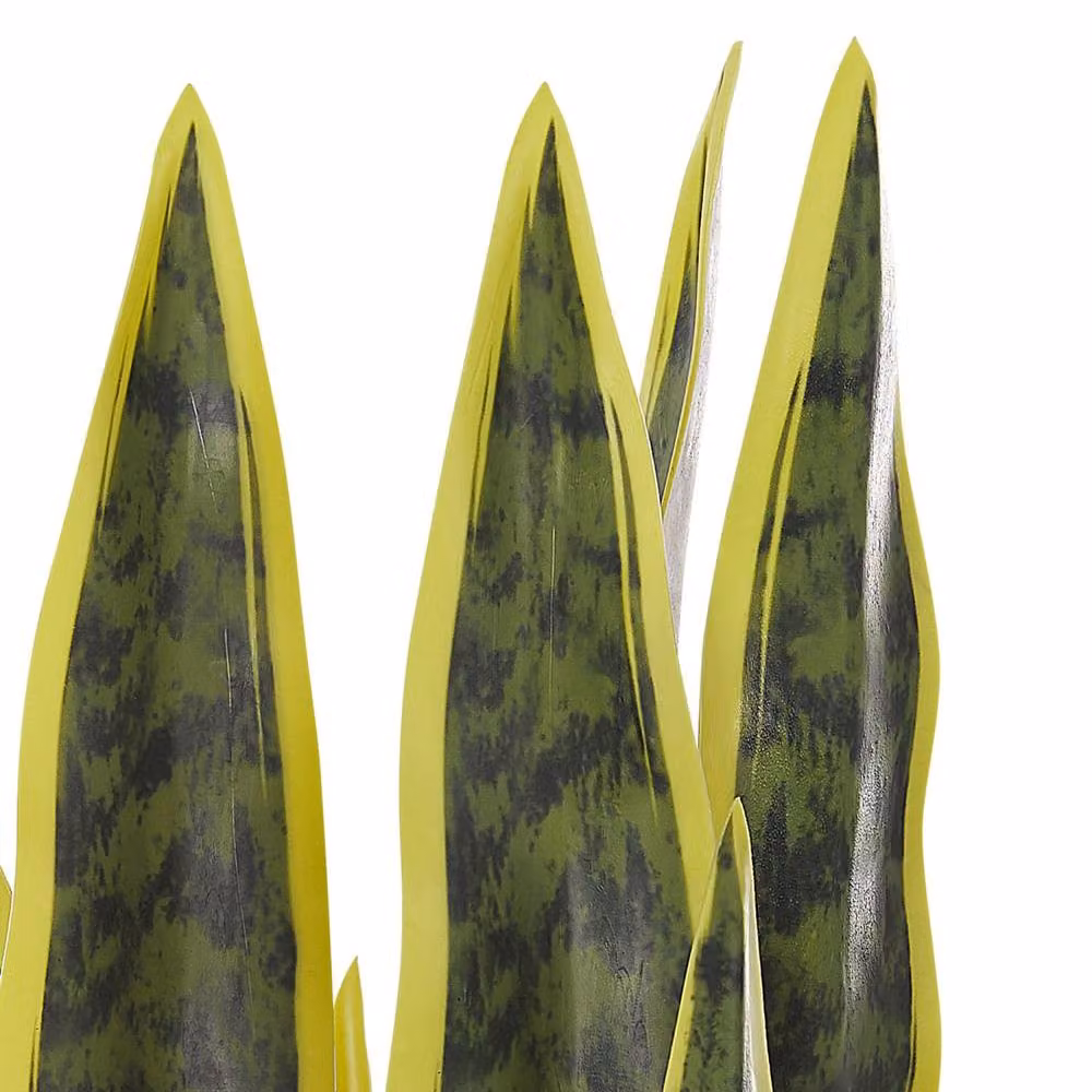 Wyld and Coco Artificial Snake Plant in a Black Cement-Filled Pot, Green, Height: 63 cm – 3