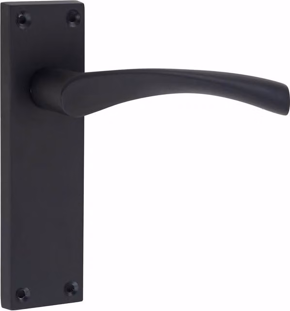 Golden Grace Polished Black Door Handles