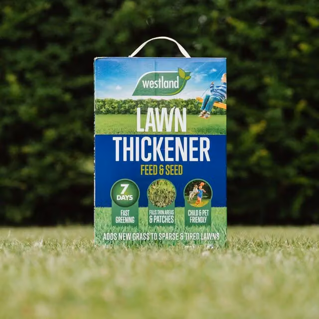 Westland Lawn Thickener Feed and Seed with Slow Release Formula, Brown