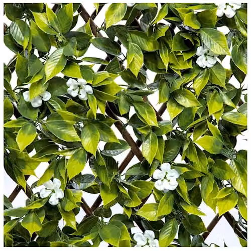 Ark Mat Expanding Wooden Trellis Artificial Hedge Privacy Screen in Green and Multicolour, W: 200 cm, H: 100 cm