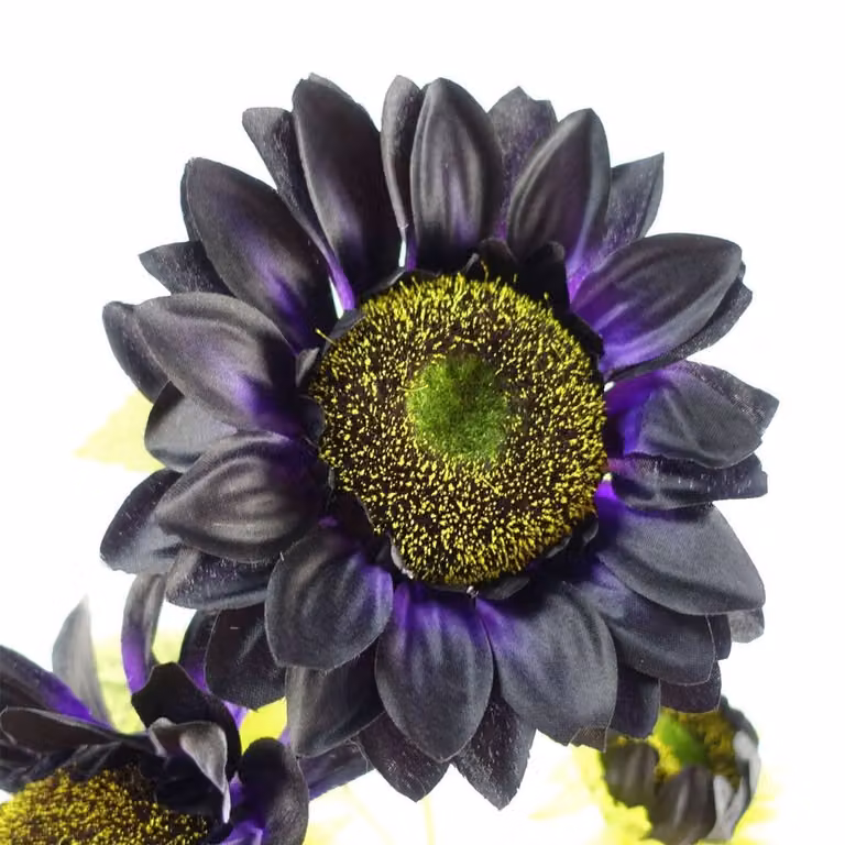 Leaf Premium Purple Artificial Sunflower Arrangement in a Glass Vase, Height: 100 cm