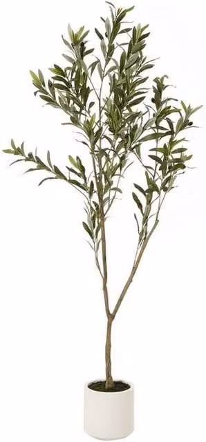 Lemon Pavilion Apulia Mediterranean Olive Tree in Pot, Green, Brown and White, Height: 150 cm