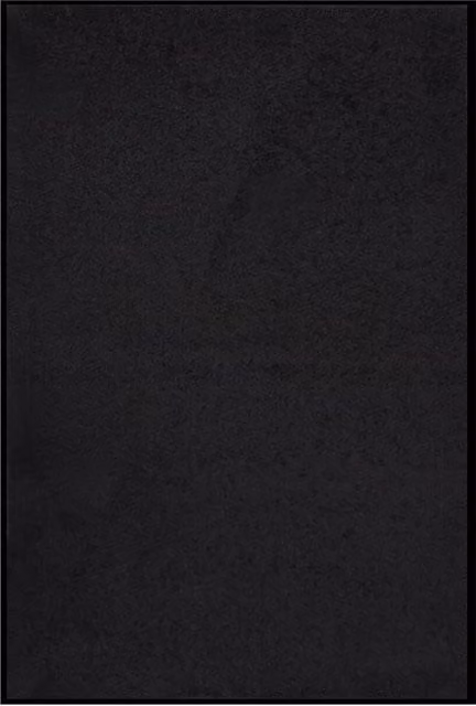 Berkfield Home Black Non-Slip Brushing Doormat, W: 80 cm, L: 120 cm