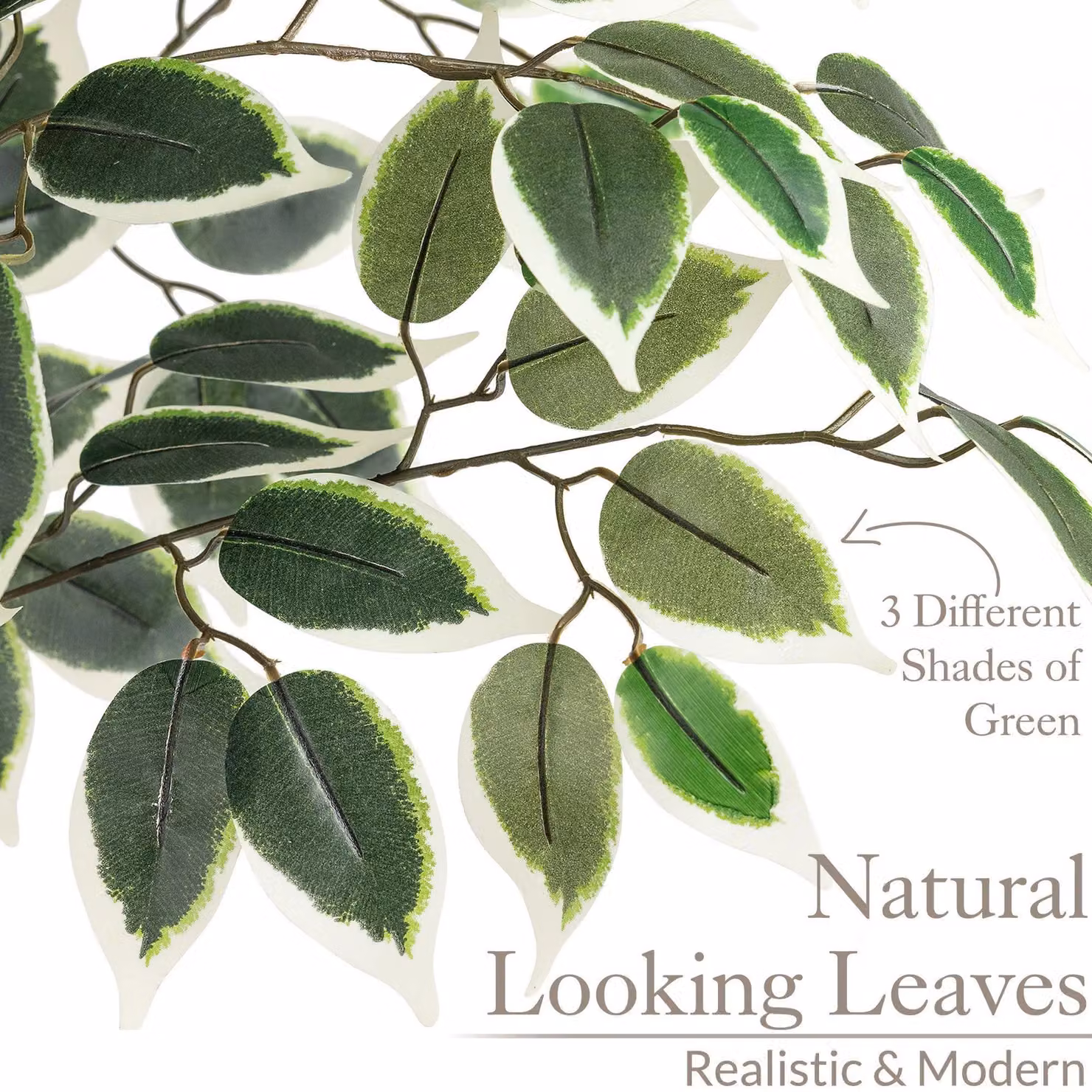 Christow Artificial Variegated Ficus Tree Realistic Faux House Plant in Green, Height: 90 cm – 3
