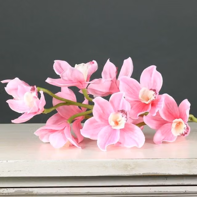 Kingsbury Gifts Pink and White Artificial Silk Cymbidium Orchid Stem, Height: 78 cm