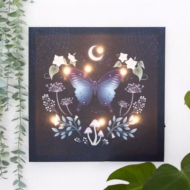 KDMK Magical Light-Up Canvas Plaque Mystical Moth Plant Decor, Brown and Multicolour, W: 30 cm, D: 30 cm
