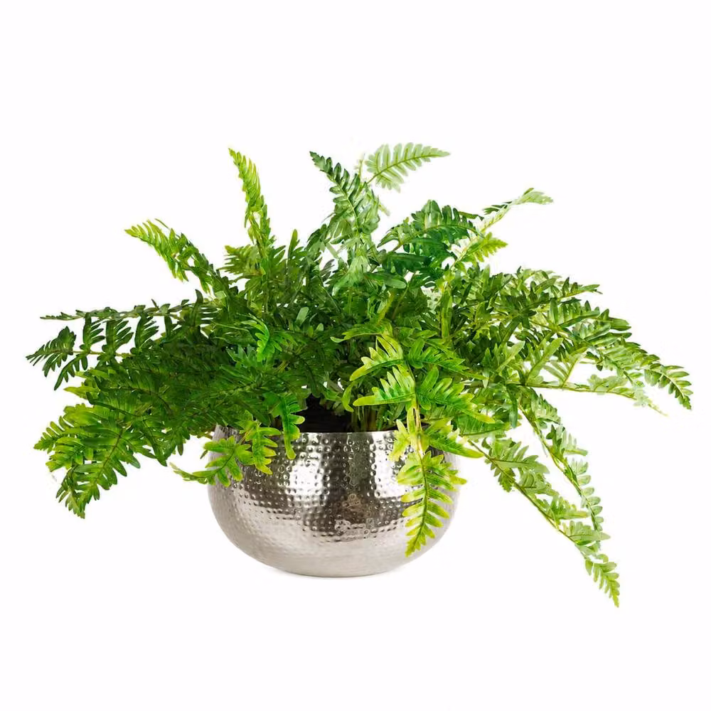 Green Leaf Artificial Ferns in a Silver Metal Bowl Planter, W/H: 50 x 65 cm – 2