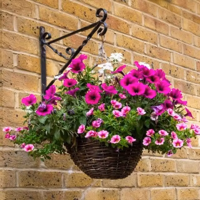 Ambassador Brown Rattan Hanging Basket Planter with Liner and Chain, W/D/H: 40.5 x 40.5 x 40.5 cm