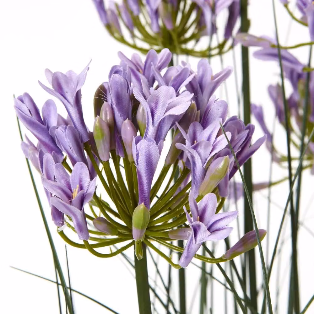 Wyld Haus Artificial Purple Agapanthus Plant in Green Pot, Height: 120 cm – 2