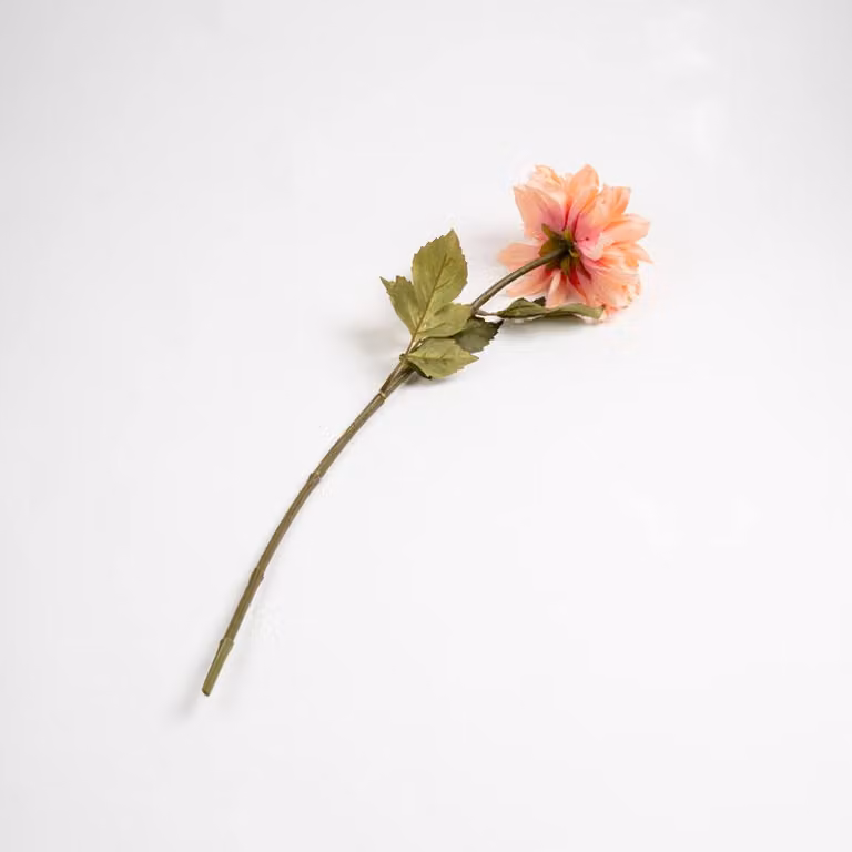 Scottish Everlastings Ltd Pink Dahlia Flower Stems, Pack of 3, Height: 70 cm