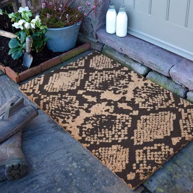 Artsy Mats Snake Print Coir Doormat in Black, W: 90 cm, D: 60 cm