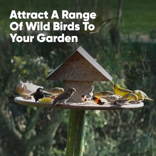 Happy Beaks All Seasons Wild Bird Food High Energy Premium Seed Mix, 28kg – 5