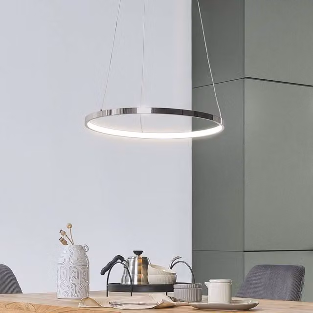 Wyld and Coco Silver Aluminium Ring Pendant Lamp with Integrated LED, 40 cm Diameter