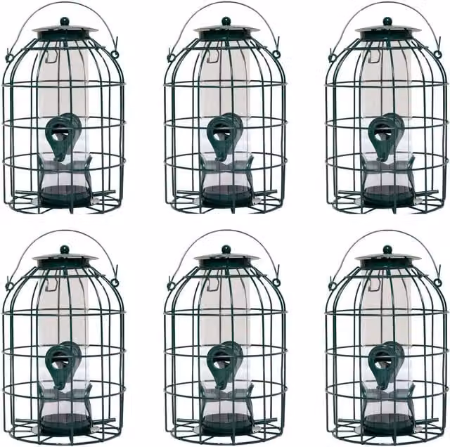 Samuel ALEXANDER Pack of 6 Green Metal Wild Bird Seed Feeder Cages with Squirrel Proof Guard