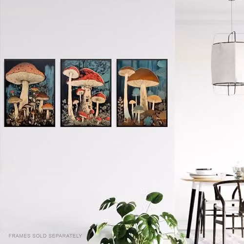 Artery8 Set of 3 Cep Mushroom Botanical Paper Poster Prints, Multicolour Unframed Wall Art, W: 21.0 cm, H: 29.7 cm – 3