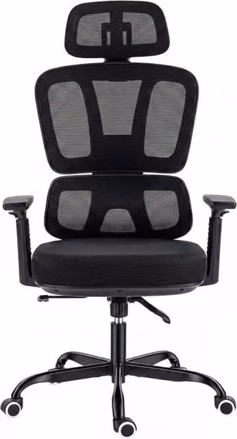 ERGOVEXA Mesh Back Swivel Office Chair with Headrest and Armrests in Black – 1