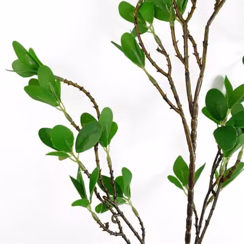 Pack of 6 Green Artificial Mini Ficus Leaf Stems, 100 cm – 2