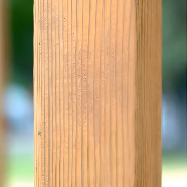 Primrose Square Pressure Treated Wood Fence Post, Brown, Height: 240 cm