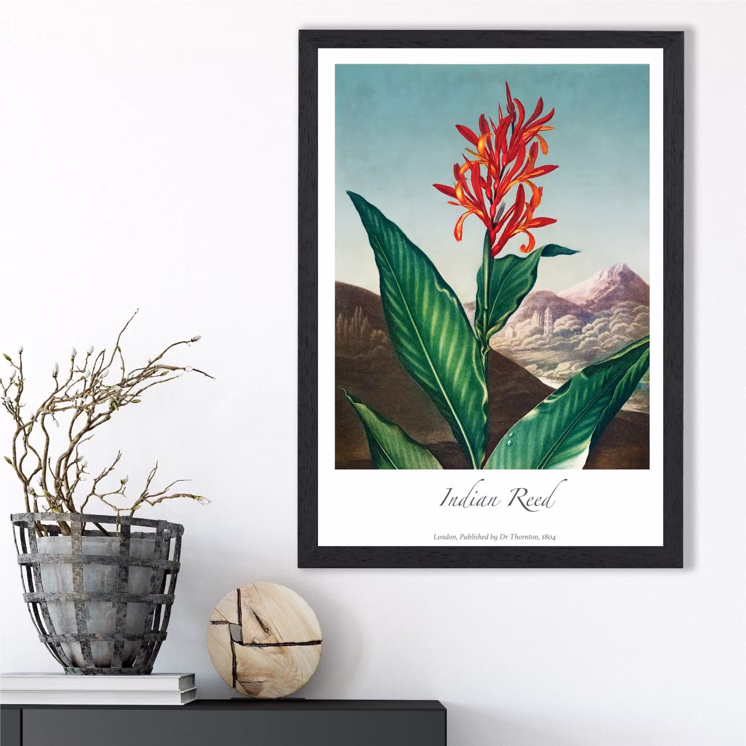 ARTZE Vintage Floral Indian Reed Framed Print, Red and Black, A2 – 2