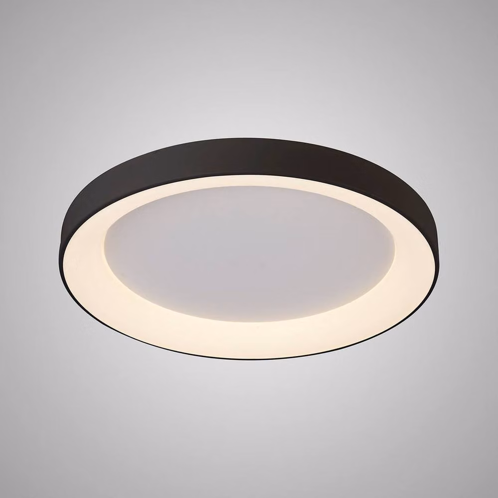 Netlighting Niseko Ring LED Ceiling Light, Black, Diameter: 65 cm, 48W, 3000K, 3900lm – 2