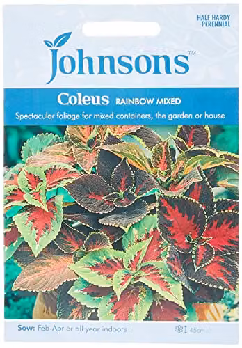 Johnsons Rainbow Mixed Colour Coleus Ornamental Flower Seeds – 1