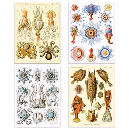 Artery8 Ernst Haeckel Kunstformen Der Natur Sea Life Biology Art Print Poster Pack of 8, Multicolour, W/H: 40.64 x 30.48 cm – 2