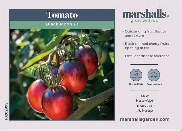 Marshalls Garden Black Moon Tomato Seeds, Red, 8 Seeds
