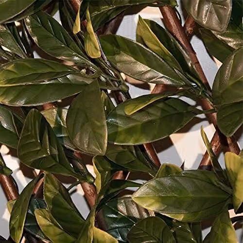 Primrose Green Artificial Laurel Extendable Rectangular Trellis Hedge Screening W: 200 cm, H: 100 cm – 3