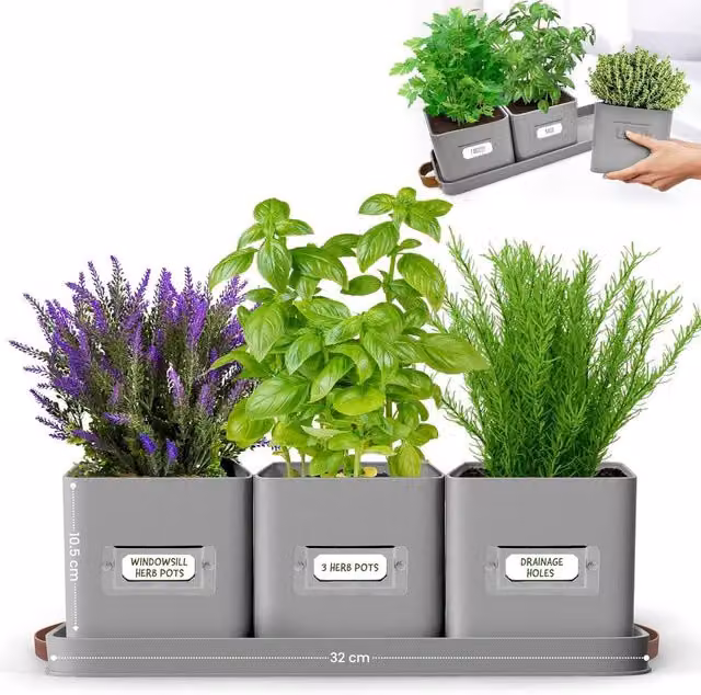 Green Thumbz Set of 3 Indoor Herb Planters with Grey Leather Handled Tray