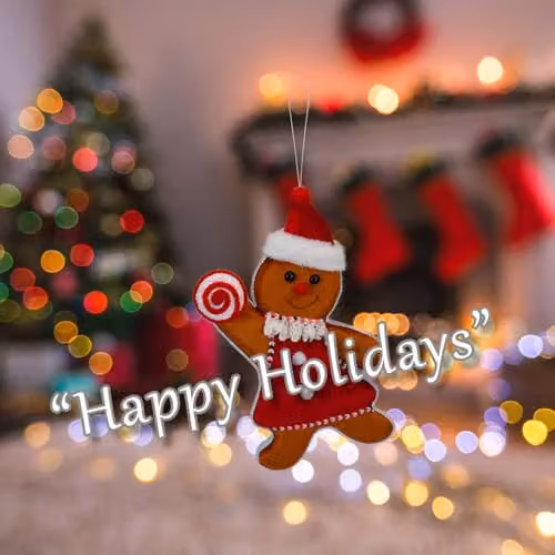 VFM e-Store Gingerbread Woman Hanging Decoration, Red and Multicolour Textile Ornament, H 31 cm x W 20 cm – 4