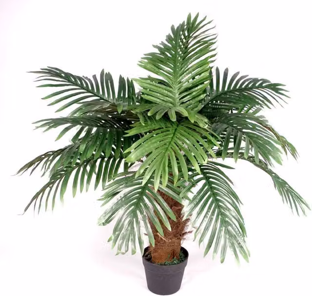 Leaf Design UK Large Realistic Artificial Princess Palm Tree in Green and Black, Height: 100 cm