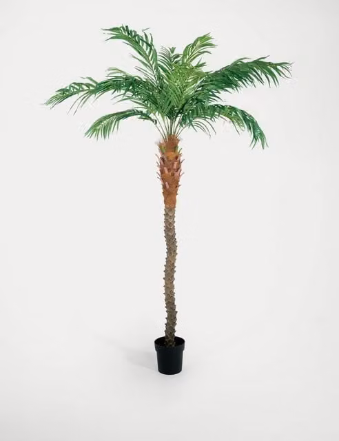Blooming Artificial 8ft Phoenix Palm Tree in Pot, Green