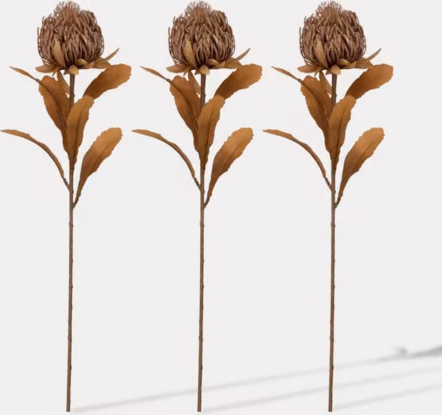 Gallery Direct Set of 3 Artificial Dried Protea Single Stems in White and Brown
