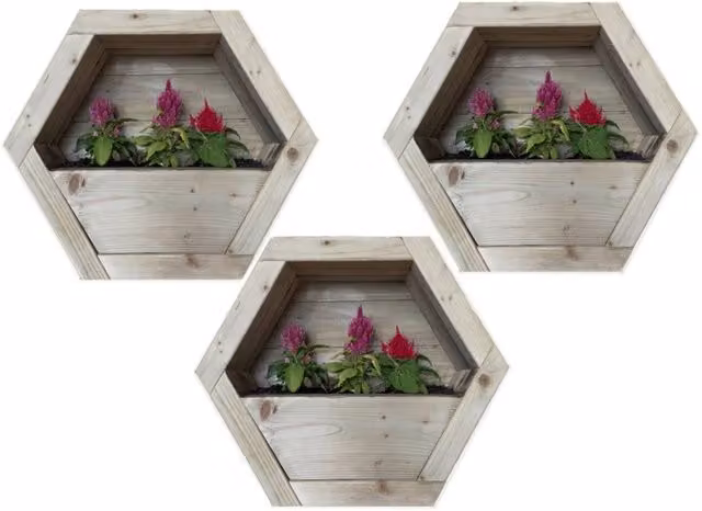Buttercup Farm Set of 3 Large Hanging Wooden Hexagon Wall Planters in Brown – 1