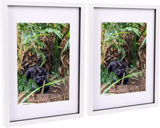 Nicola Spring Pack of 2 White Rectangular 3D Box Photo Frames with A4 Mounts, W 42.0 cm x H 29.7 cm