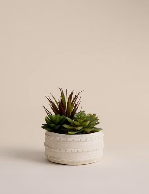 M&S Artificial Green Succulent in a Beige Round Ceramic Pot