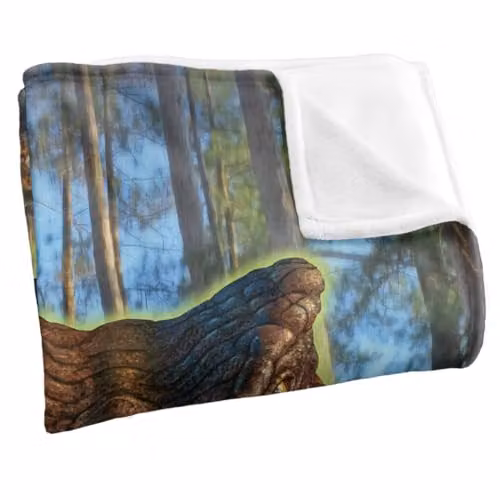 JQ Licensing Jlo T-Rex Dinosaur Head Super Soft Fleece Throw Blanket, Multicolour, W/D/H: 91 x 147 cm – 2
